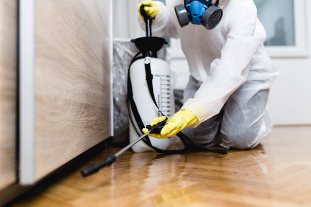 Best Best Pest Control Companies  in Carnesville, GA