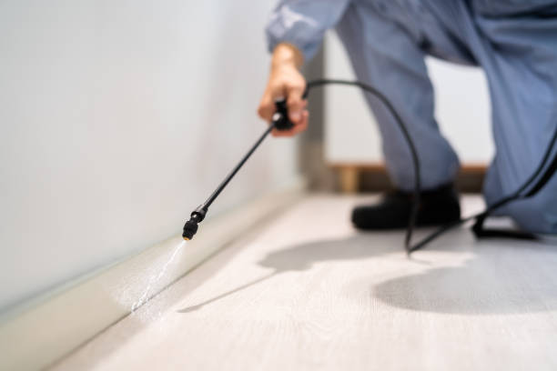 Best Flea Control Services  in Carnesville, GA
