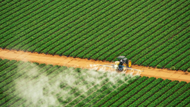 Best Local Pest Control Services  in Carnesville, GA