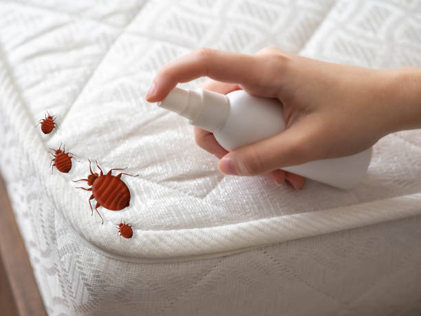 Best Affordable Pest Control Services  in Carnesville, GA