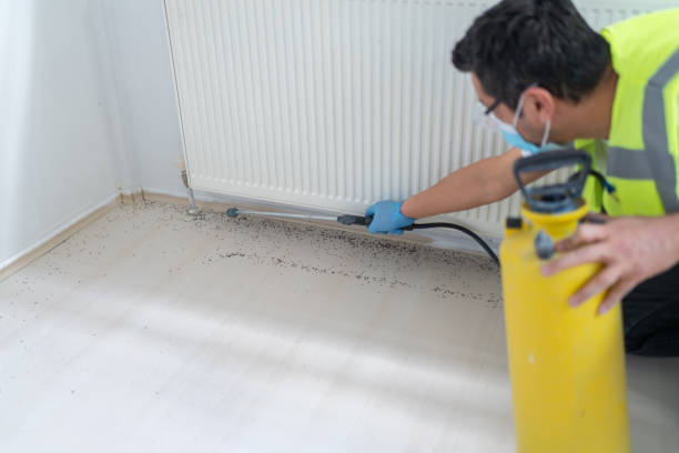 Reliable Carnesville, GA Pest Control Solutions